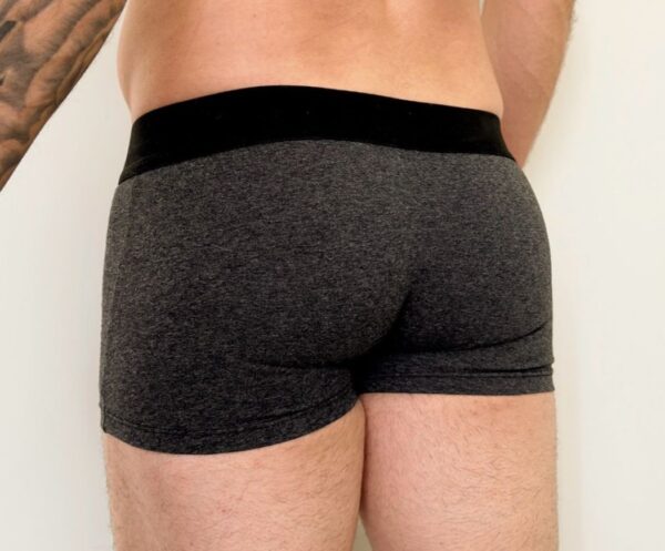 Boxer Trans T para packer cinza escuro